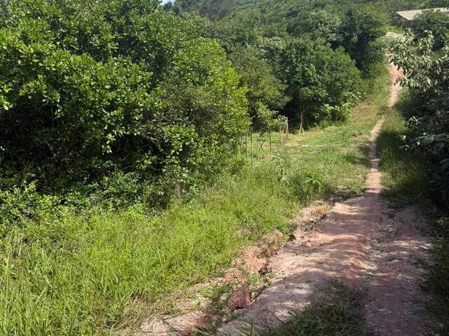 #T-596 - Terreno para Venda em Tibau do Sul - RN
