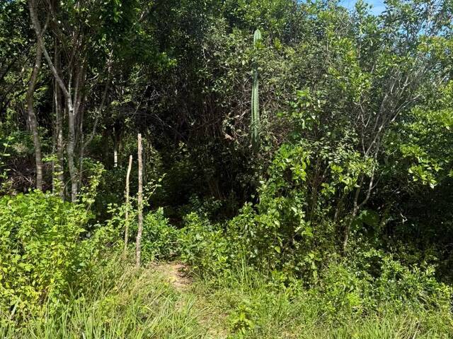 #T-596 - Terreno para Venda em Tibau do Sul - RN