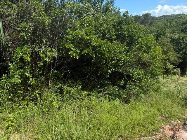 Terreno para Venda em Tibau do Sul - 4