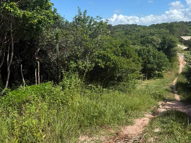 #T-596 - Terreno para Venda em Tibau do Sul - RN