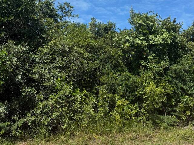 Terreno para Venda em Tibau do Sul - 3
