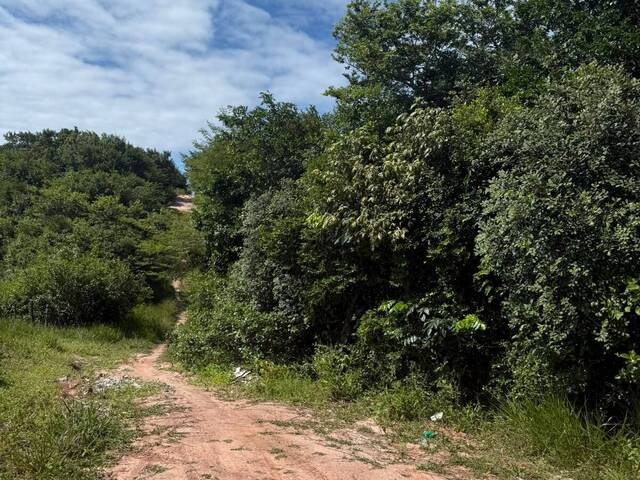 Terreno para Venda em Tibau do Sul - 4