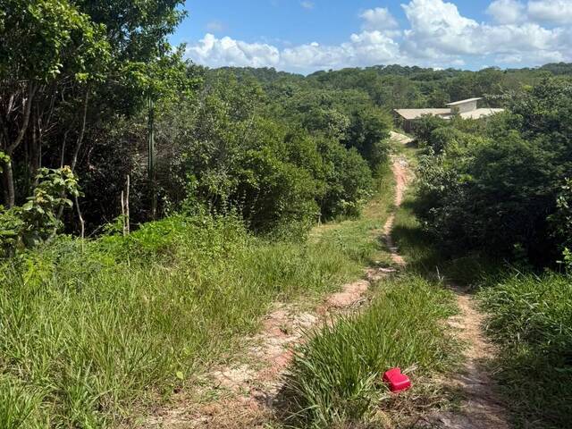 Venda em Praia da Pipa - Tibau do Sul