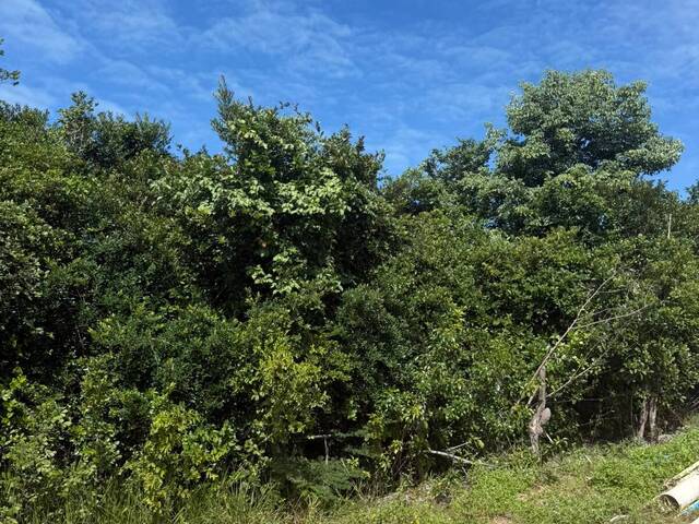Terreno para Venda em Tibau do Sul - 2