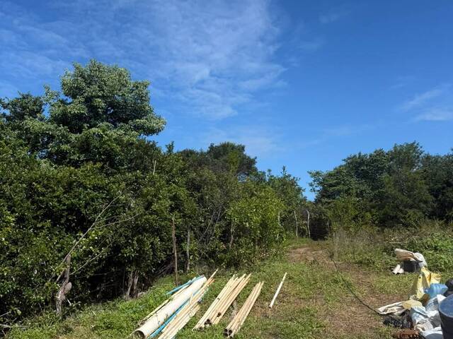 Terreno para Venda em Tibau do Sul - 5