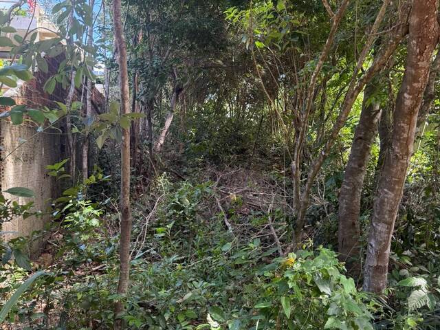 #T-575 - Terreno para Venda em Tibau do Sul - RN