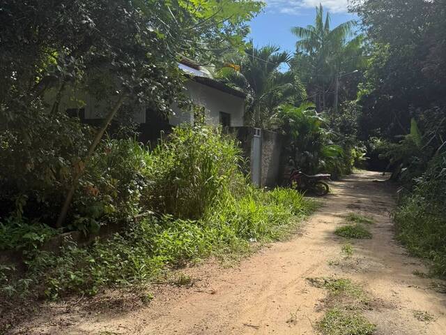 Terreno para Venda em Tibau do Sul - 4