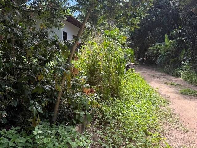 #T-575 - Terreno para Venda em Tibau do Sul - RN