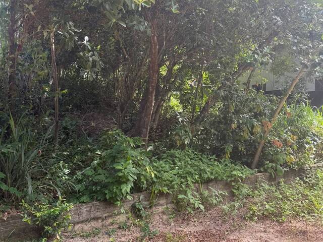 #T-575 - Terreno para Venda em Tibau do Sul - RN