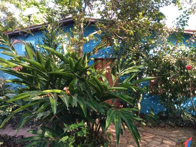 Casa para Locação em Vila Flor - 2