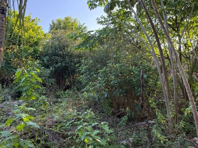 Terreno para Venda em Tibau do Sul - 4