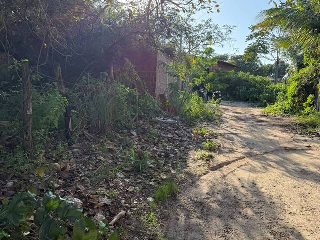 #T-597 - Terreno para Venda em Tibau do Sul - RN