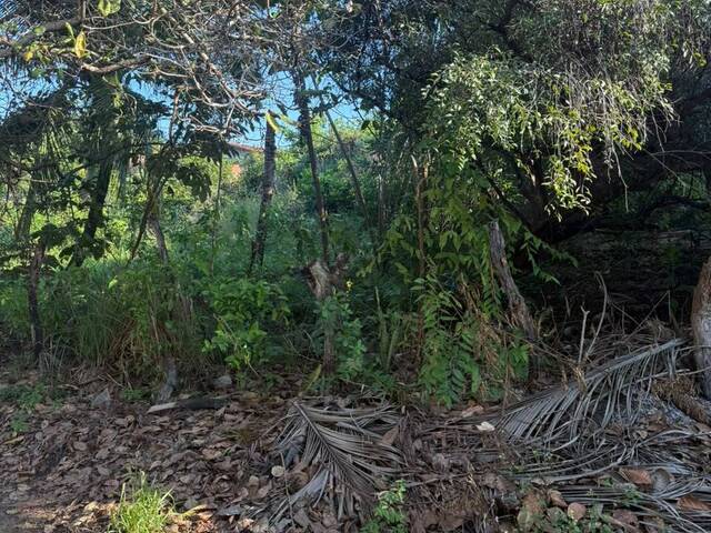 #T-597 - Terreno para Venda em Tibau do Sul - RN