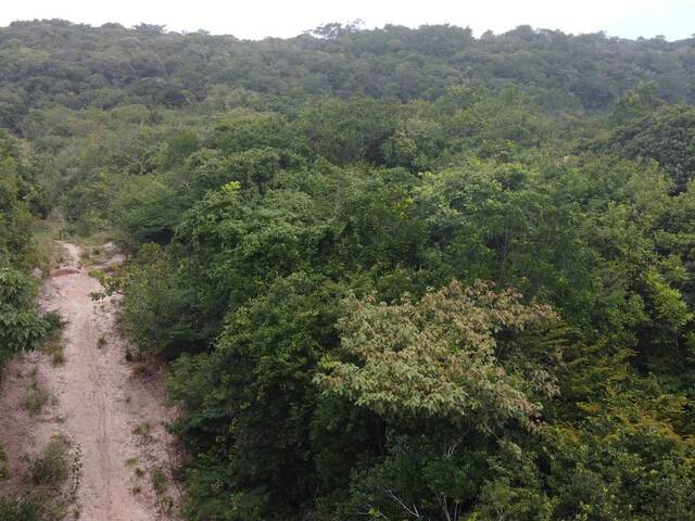 Terreno para Venda em Tibau do Sul - 4