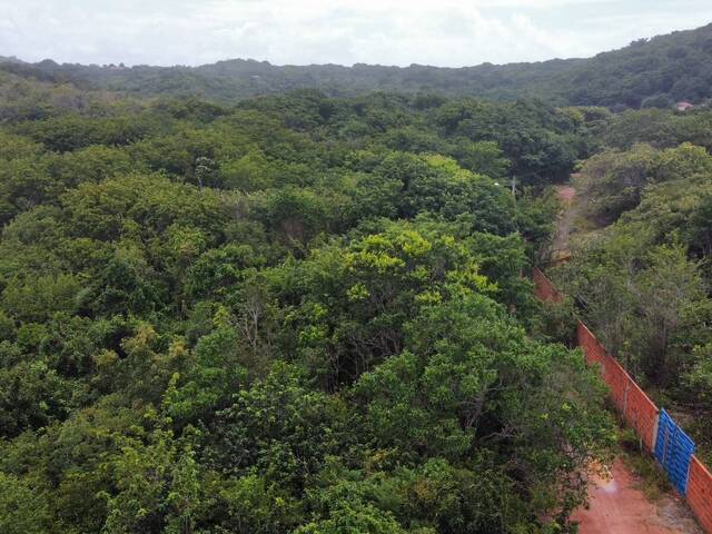 Terreno para Venda em Tibau do Sul - 5