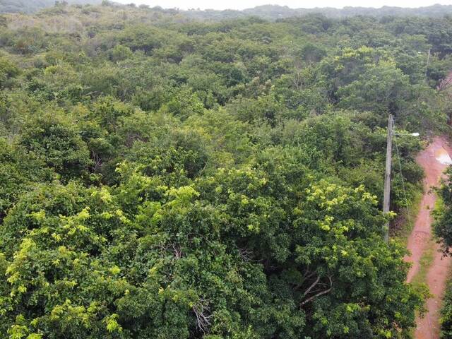 Venda em Praia da Pipa - Tibau do Sul