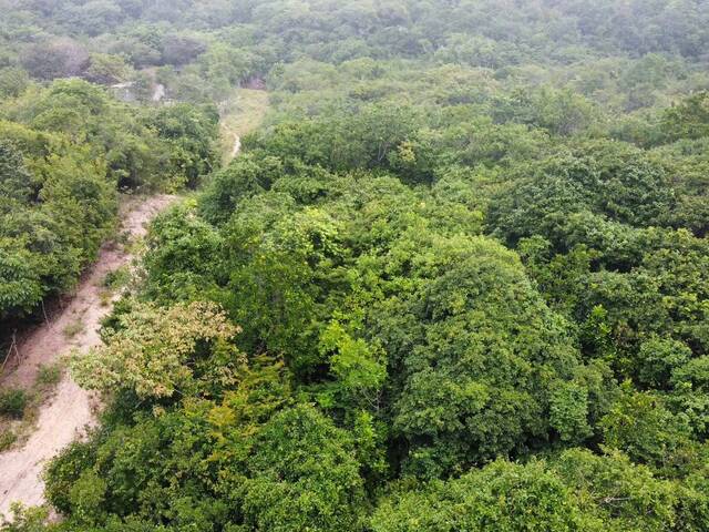 Terreno para Venda em Tibau do Sul - 3