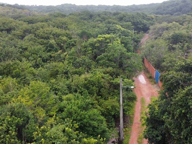 Terreno para Venda em Tibau do Sul - 2