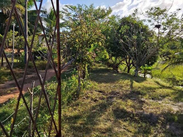 Sítio para Venda em Ceará-Mirim - 4