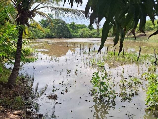 Sítio para Venda em Ceará-Mirim - 5