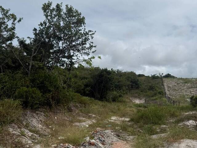Venda em Praia da Pipa - Tibau do Sul