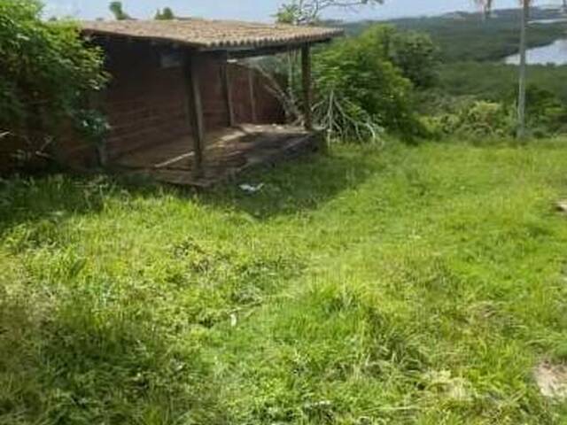 Terreno para Venda em Senador Georgino Avelino - 4
