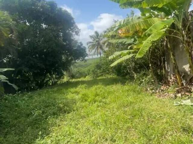 Terreno para Venda em Senador Georgino Avelino - 5