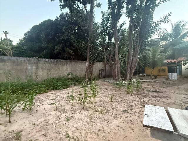 Venda em Praia da Pipa - Tibau do Sul