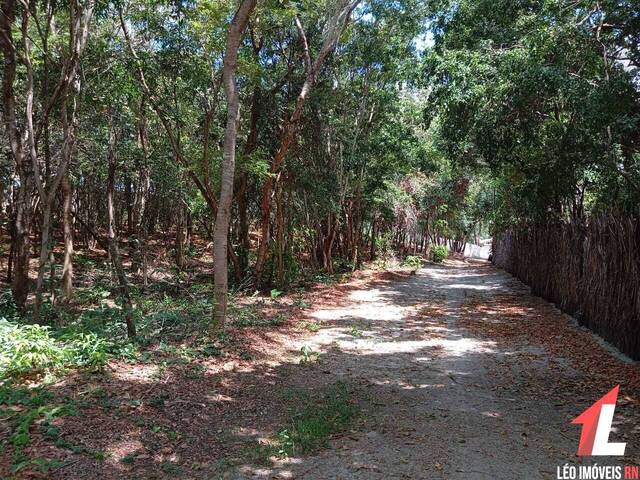 Terreno para Venda em Tibau do Sul - 5