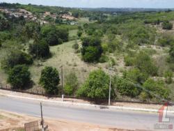 Terreno para Venda em Tibau do Sul - 5