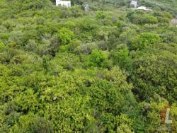 Terreno para Venda em Tibau do Sul - 4