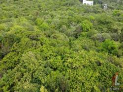 Terreno para Venda em Tibau do Sul - 5