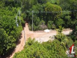 Terreno para Venda em Tibau do Sul - 2