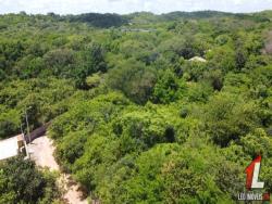 Terreno para Venda em Tibau do Sul - 4