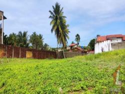Terreno para Venda em Tibau do Sul - 4