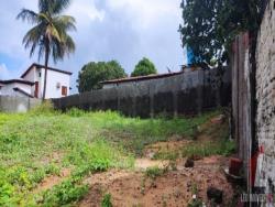 Terreno para Venda em Tibau do Sul - 5