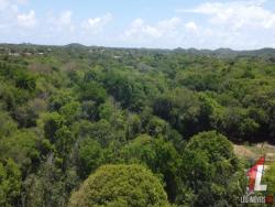 Terreno para Venda em Tibau do Sul - 4