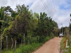 Terreno para Venda em Tibau do Sul - 5