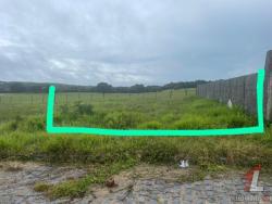 Terreno para Venda em Tibau do Sul - 5