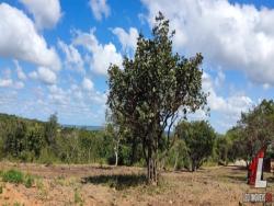 #T-205 - Terreno para Venda em Tibau do Sul - RN