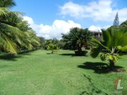 Pousada para Venda em Tibau do Sul - 5