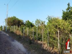 #T-017 - Terreno para Venda em Tibau do Sul - RN
