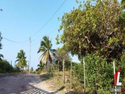 #T-017 - Terreno para Venda em Tibau do Sul - RN