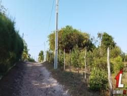 Terreno para Venda em Tibau do Sul - 5