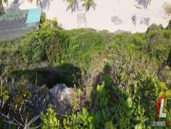 #T-019 - Terreno para Venda em Tibau do Sul - RN
