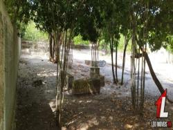 Terreno para Venda em Tibau do Sul - 4