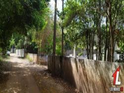 Terreno para Venda em Tibau do Sul - 5