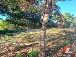 #T-244 - Terreno para Venda em Tibau do Sul - RN