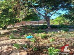 Terreno para Venda em Tibau do Sul - 4