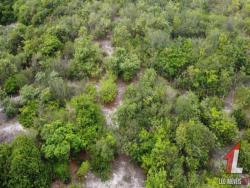 Terreno para Venda em Tibau do Sul - 5